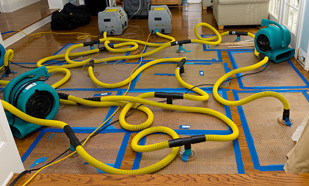 Professional Water Extraction technician working in De Soto, WI